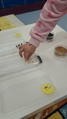 В седмица на професиите в III Б група „Веселушко“