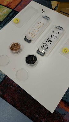 В седмица на професиите в III Б група „Веселушко“