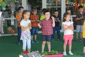 деннадетето135